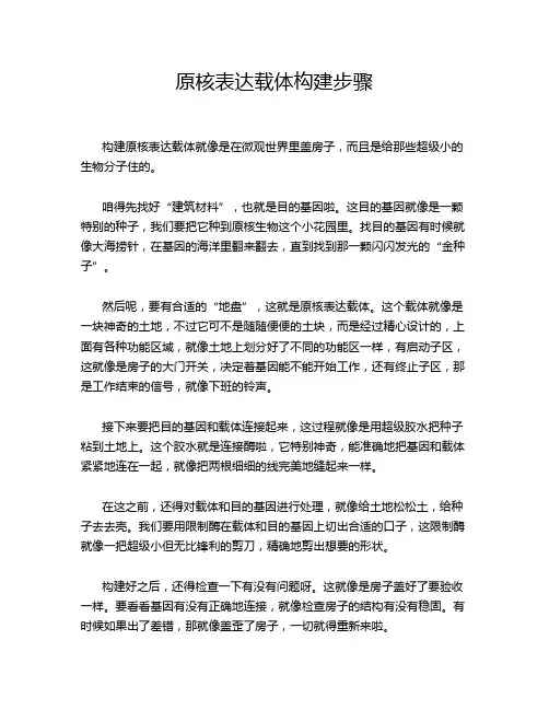 原核表达载体构建步骤