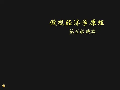 人大版微观经济学(第三版)课件第5-6章