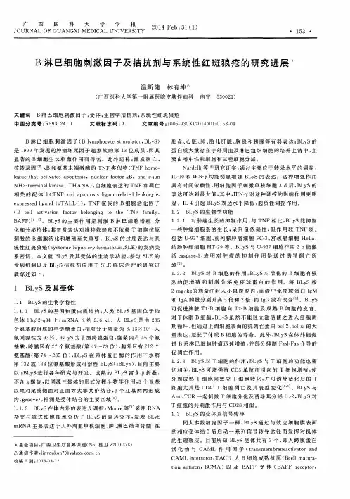 B淋巴细胞刺激因子及拮抗剂与系统性红斑狼疮的研究进展