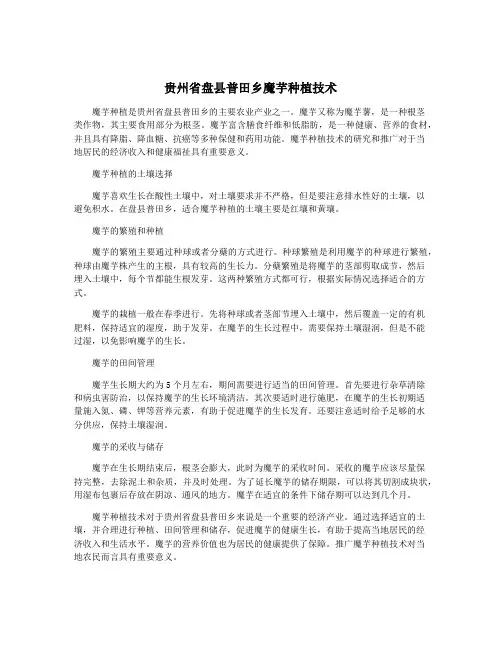 贵州省盘县普田乡魔芋种植技术