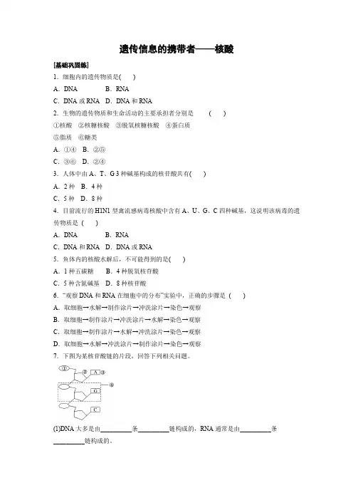 课时作业17：2.3遗传信息的携带者——核酸