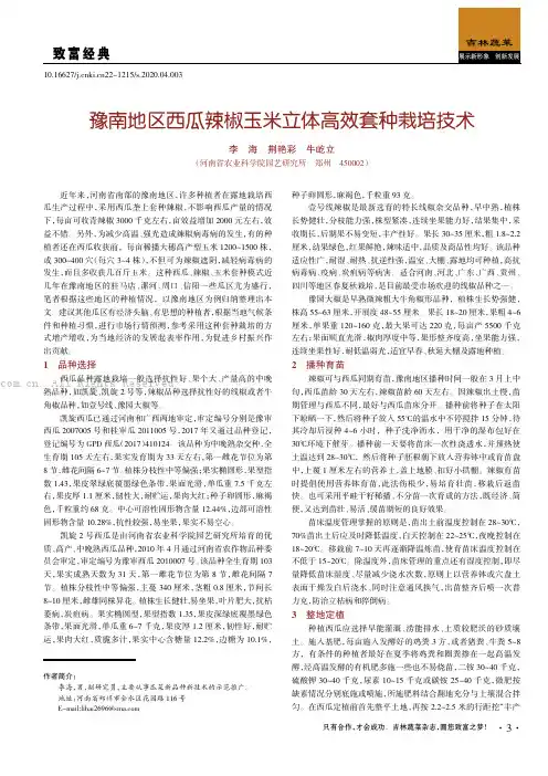 豫南地区西瓜辣椒玉米立体高效套种栽培技术