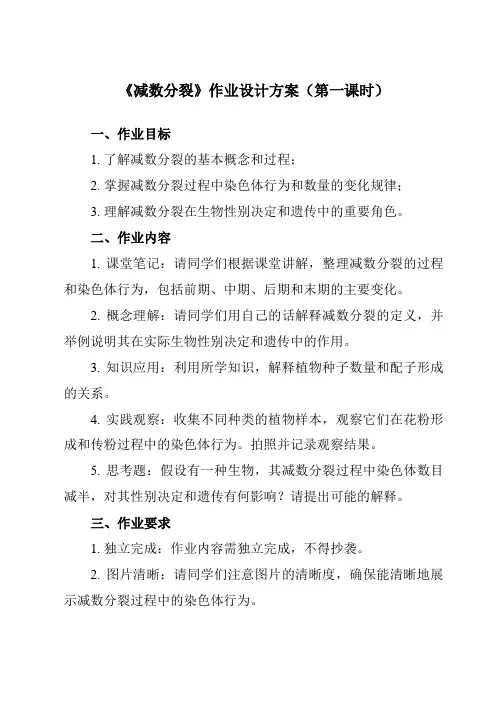 《第1章 第1节 一 减数分裂》作业设计方案-高中生物人教版必修2