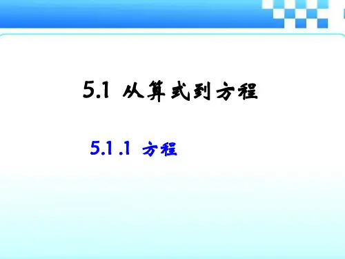 5.1 .1  方程 课件(共21张PPT)初中数学人教版七年级上册