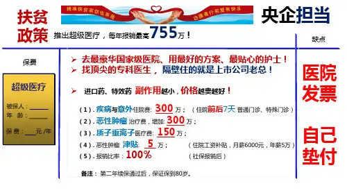国寿福庆典版计划书2.0