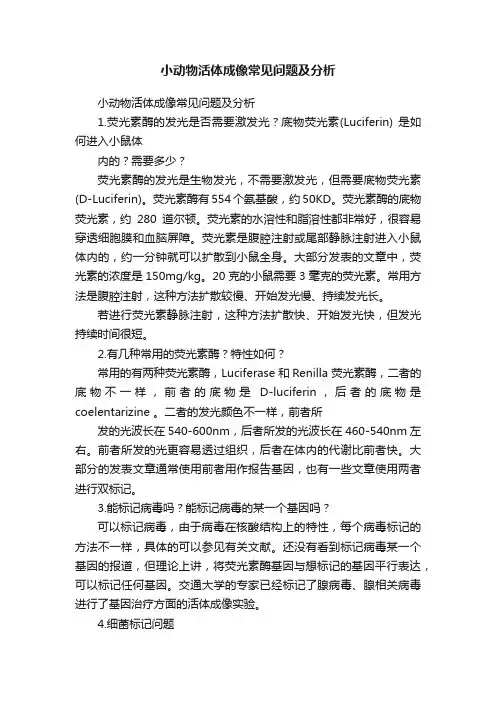 小动物活体成像常见问题及分析