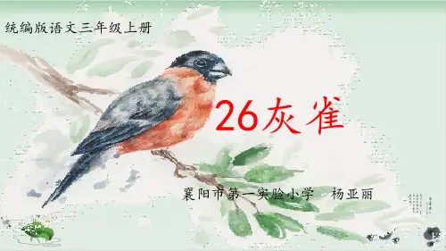 人教部编版《灰雀》ppt课件1