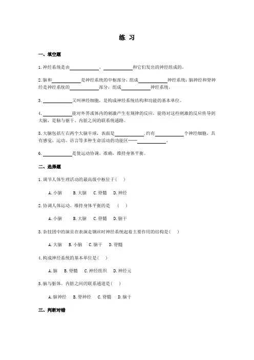 七年级生物神经系统的组成-练习题