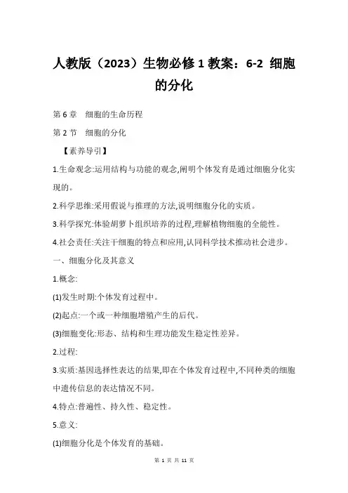 人教版(2023)生物必修1教案：6-2 细胞的分化
