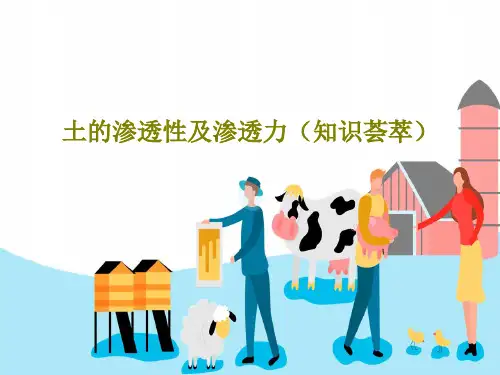 土的渗透性及渗透力(知识荟萃)34页PPT