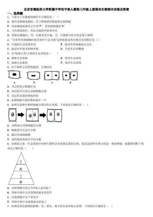 北京首都医科大学附属中学初中部人教版七年级上册期末生物期末试卷及答案