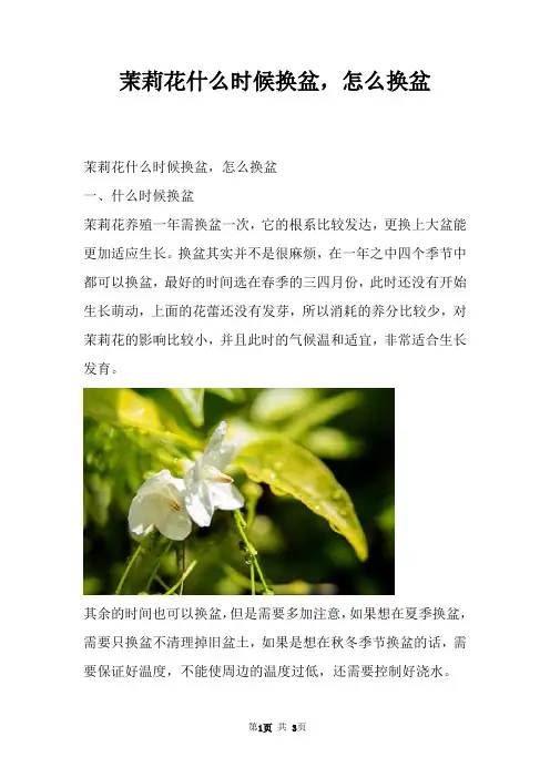 茉莉花什么时候换盆，怎么换盆