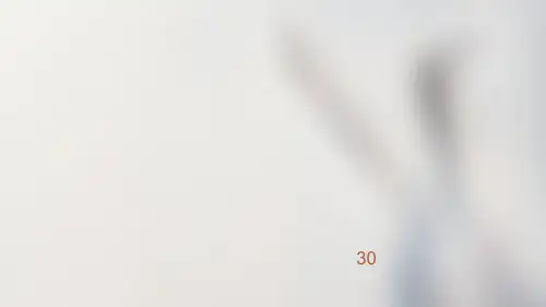 生药学 ppt课件