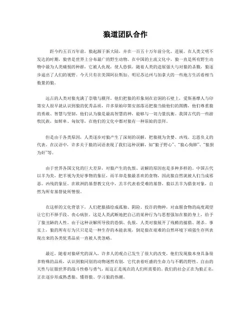 狼道团队合作
