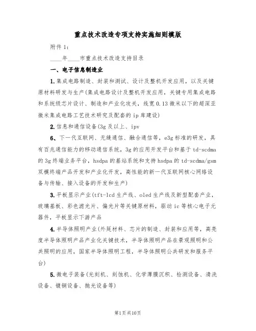重点技术改造专项支持实施细则模版(4篇)