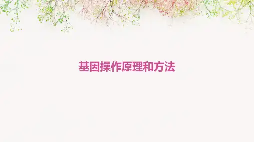 基因操作原理和方法
