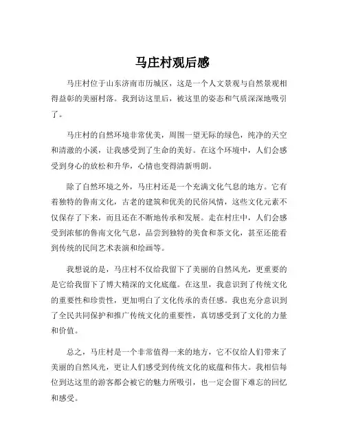 马庄村观后感