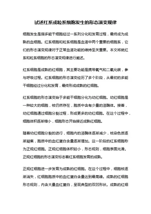 试述红系或粒系细胞发生的形态演变规律