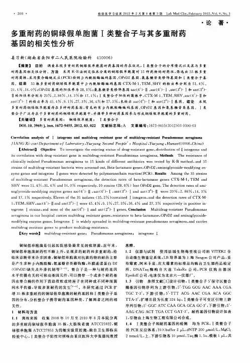 多重耐药的铜绿假单胞菌Ⅰ类整合子与其多重耐药基因的相关性分析