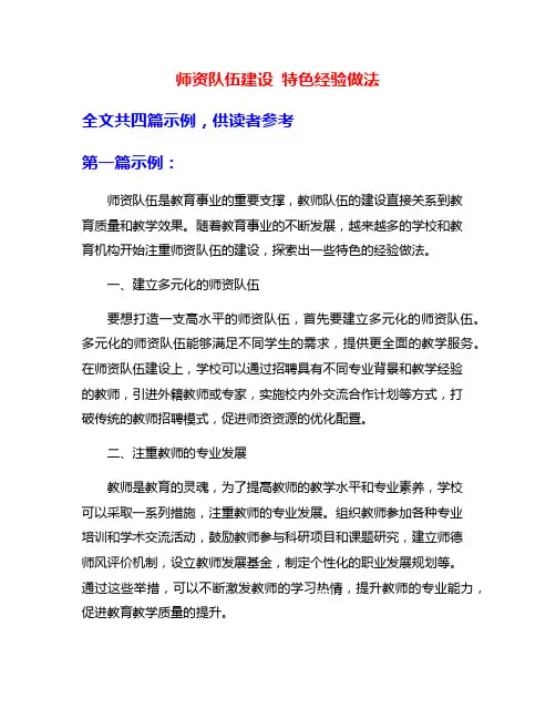师资队伍建设 特色经验做法
