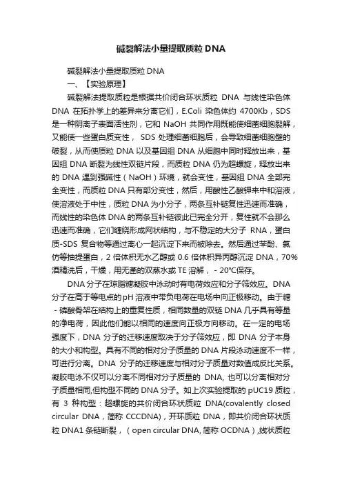 碱裂解法小量提取质粒DNA