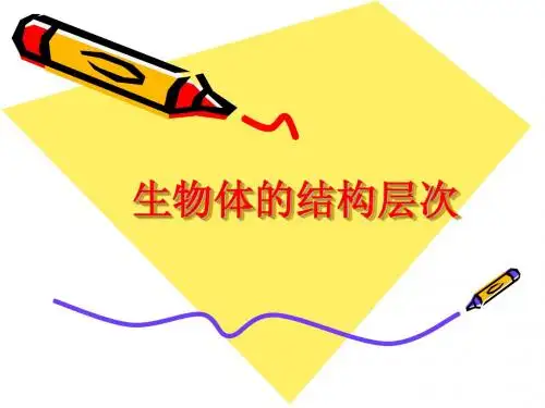 2.23生物体的结构层次