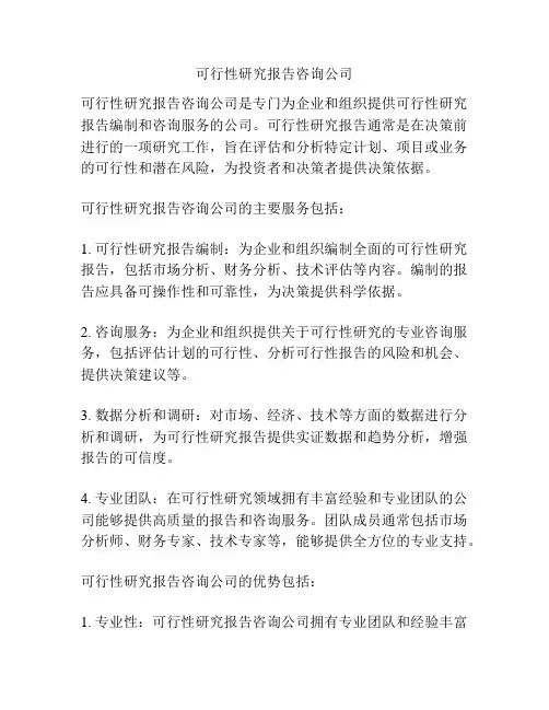可行性研究报告咨询公司