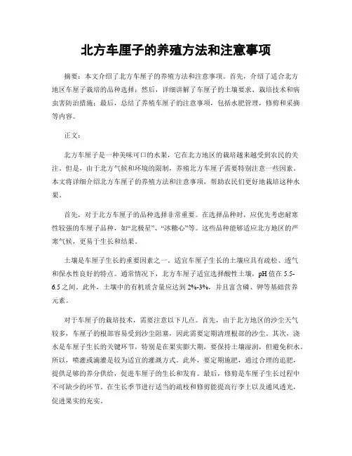北方车厘子的养殖方法和注意事项