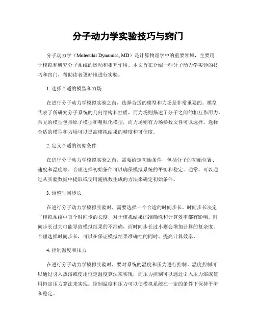 分子动力学实验技巧与窍门