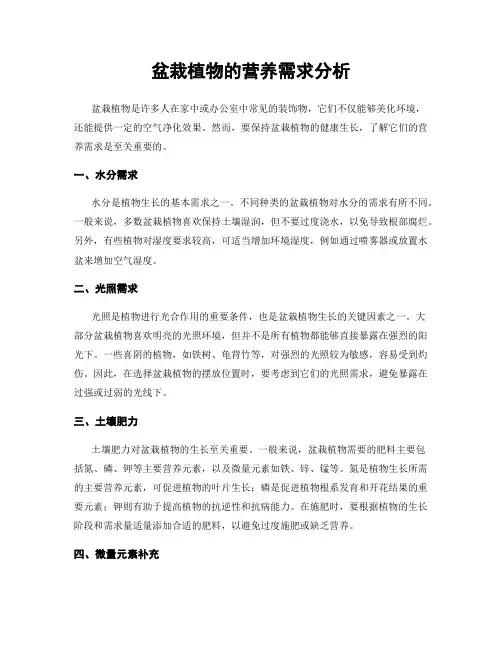 盆栽植物的营养需求分析