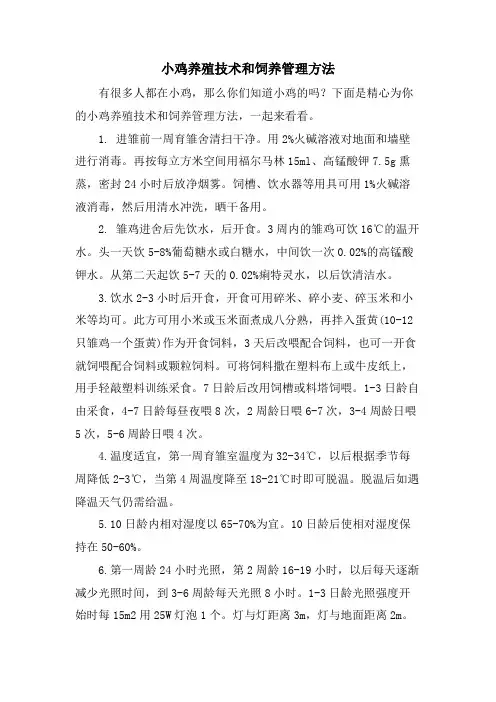 小鸡养殖技术和饲养管理方法