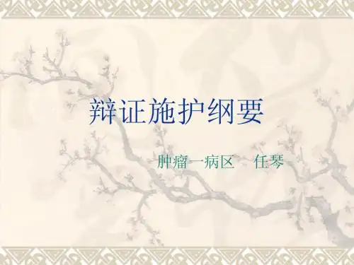 辩证施护纲要  任琴