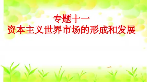 资本主义世界市场的形成和发展ppt