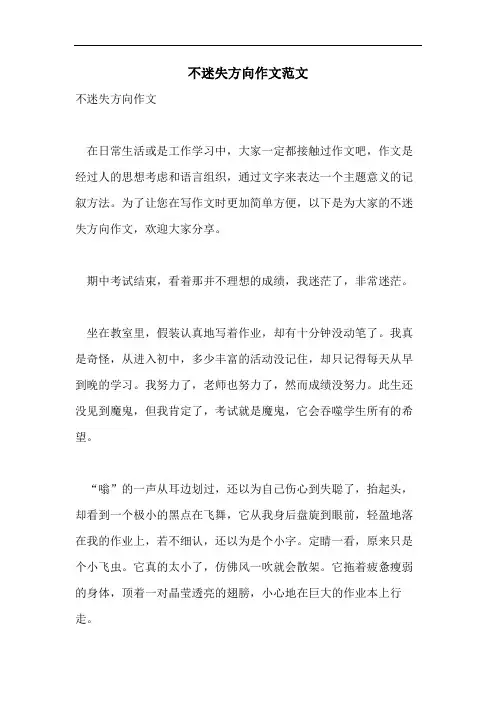 不迷失方向作文范文