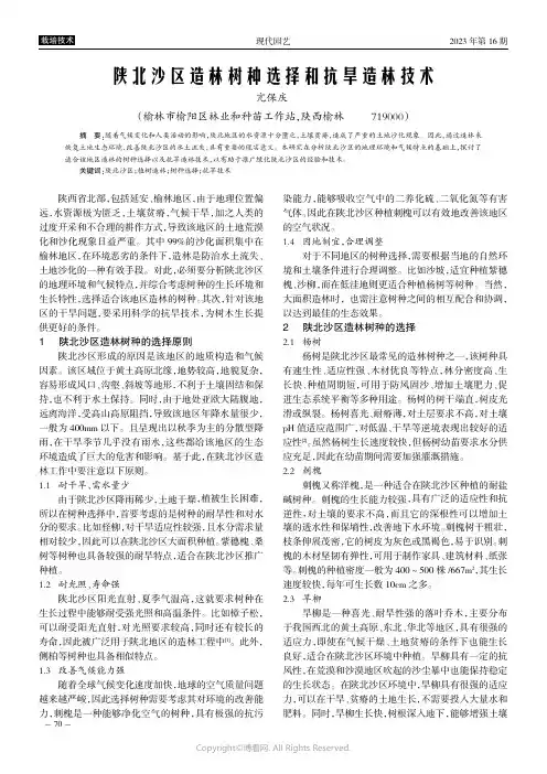 陕北沙区造林树种选择和抗旱造林技术