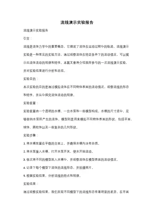 流线演示实验报告