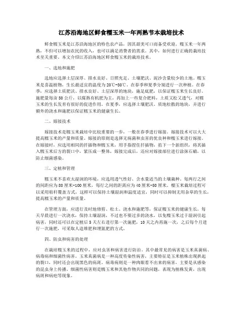 江苏沿海地区鲜食糯玉米一年两熟节本栽培技术