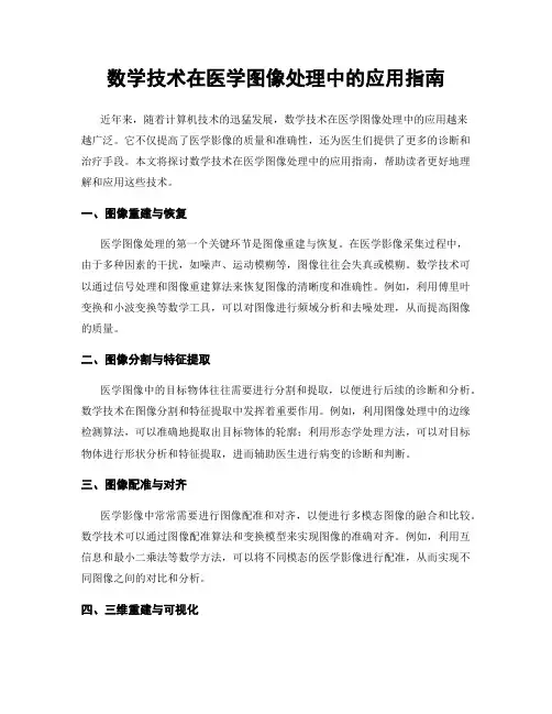 数学技术在医学图像处理中的应用指南