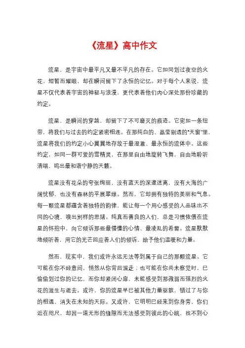 《流星》高中作文