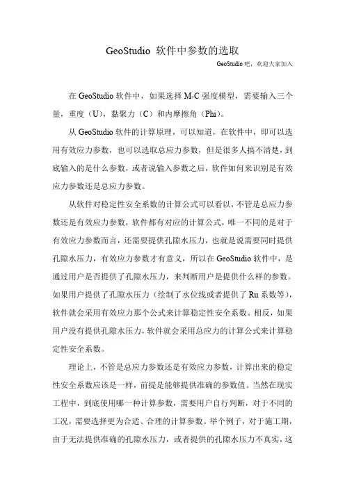 关于GeoStudio中重度的选取