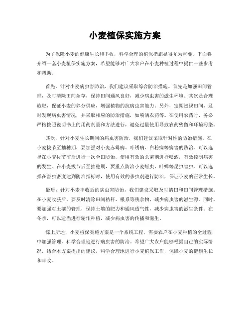 小麦植保实施方案