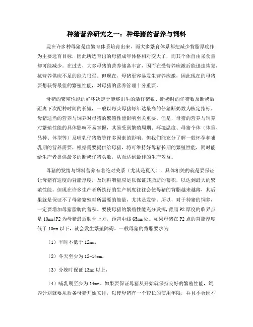 种猪营养研究之一：种母猪的营养与饲料
