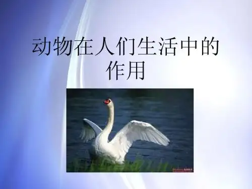 动物在人们生活中的作用