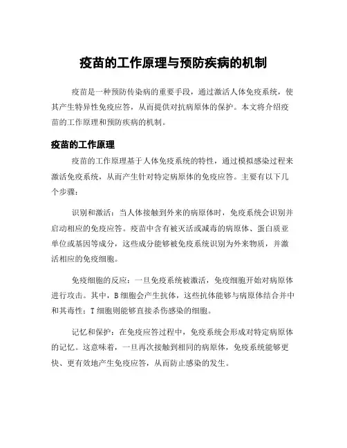 疫苗的工作原理与预防疾病的机制