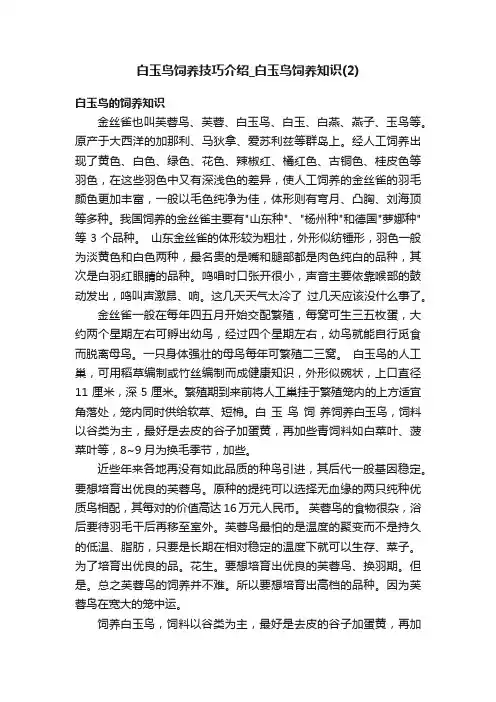 白玉鸟饲养技巧介绍_白玉鸟饲养知识（2）