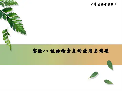 实验八 植物检索表的使用与编制