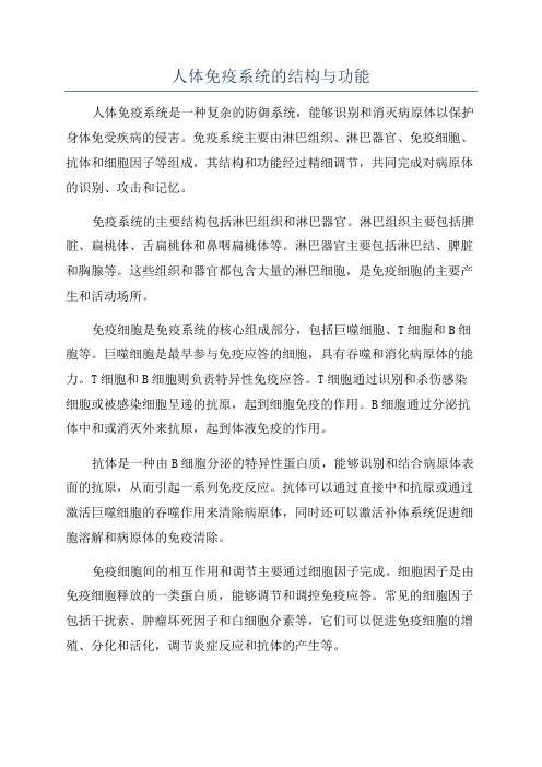 人体免疫系统的结构与功能