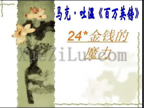 24《金钱的魔力》PPT课件