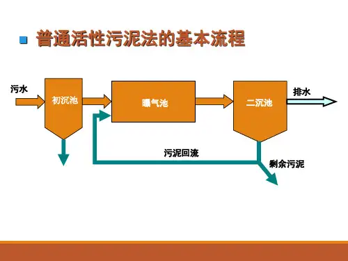 污水生物处理系统中的主要微生物