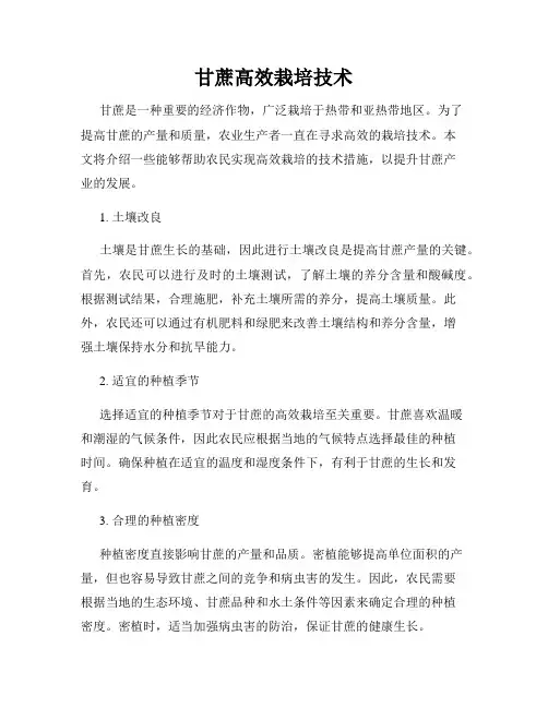 甘蔗高效栽培技术